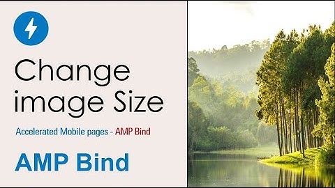 Dimensions change using button in amp bind | AMP Bind | on tap in AMP | Yuvraj Academy