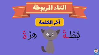 الفرق بين التاء المربوطة والتاء المفتوحة والهاء - Arabic for Kids