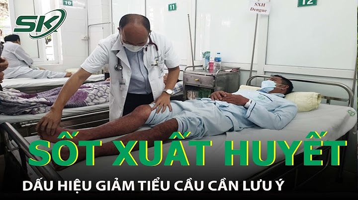 Xuất huyết giảm tiểu cầu là bệnh gì năm 2024