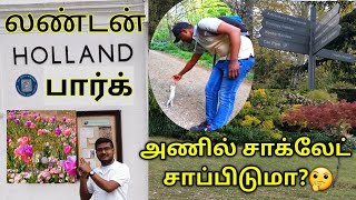 அணில் சாக்லேட் சாப்பிடுமா?🤔@லண்டன் HOLLAND பார்க் | LONDON HOLLAND Park TAMIL