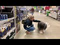 Best Dog Training Toledo, Ohio! 2 Year Old Bearded Collie, Cooper! の動画、YouTube動画。