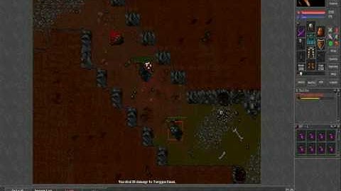 Lord Rownlix Druid 21 VS. Bot Knight 38