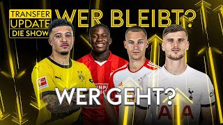 Kimmich darf gehen: fünf Optionen! Zwei neue Stars auf BVB-Liste - So plant Werner | Transfer Update image