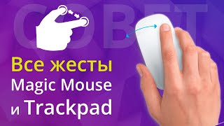 Как настроить управление жестами на мышь Apple Magic Mouse и Trackpad на MacBook с macOS