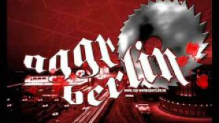 fler,kitty kat,sido,tony d-aggro berlin