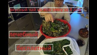 Лучший рецепт ферментированного чая