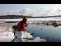 Зимний спиннинг на Сахалине. Сахалинский ананас, выдры и таймешата