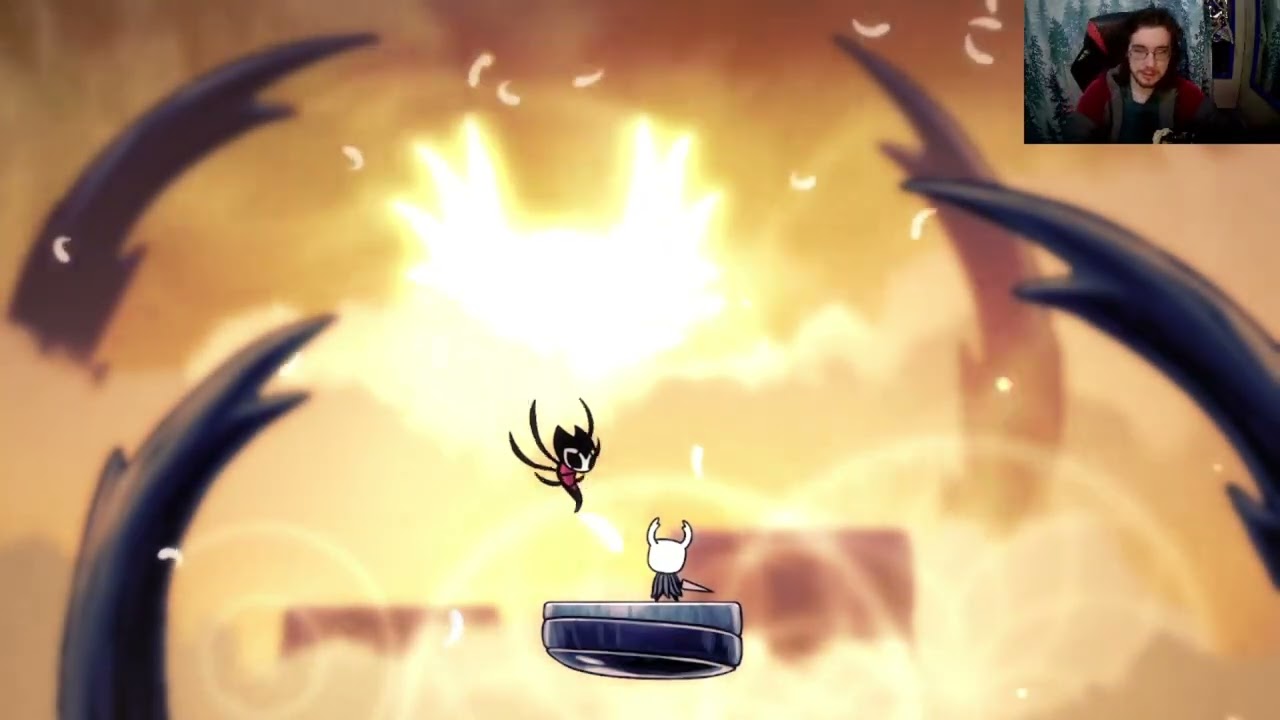 I BEAT THE RADIANCE - Hollow knight