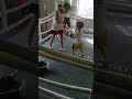 #yılmazdursun#kickboxing#antrenman#6yaşetkinlikleri#ufaksporcu sabit Özçelik 😃sonu şakali🤣