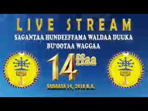 TAMSAASA KALLATTII SAGANTAA KABAJA HUNDEEFFAMA WALDAA DUUKAA BU OOTAA WAGGAA 14FFAA 