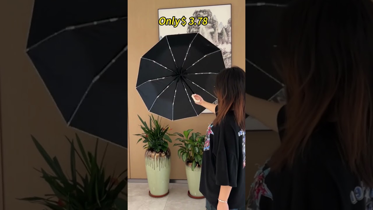 Automatic umbrella: under $4!