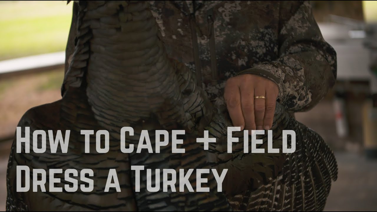How To Cape and Field Dress a Turkey with Rob Keck and TrueTimber