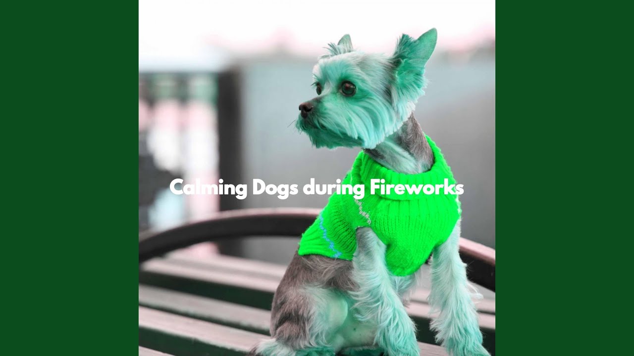 Background for Smart Pups - YouTube