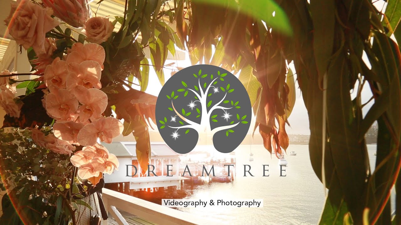 Dreamtree Films Video Production NSW