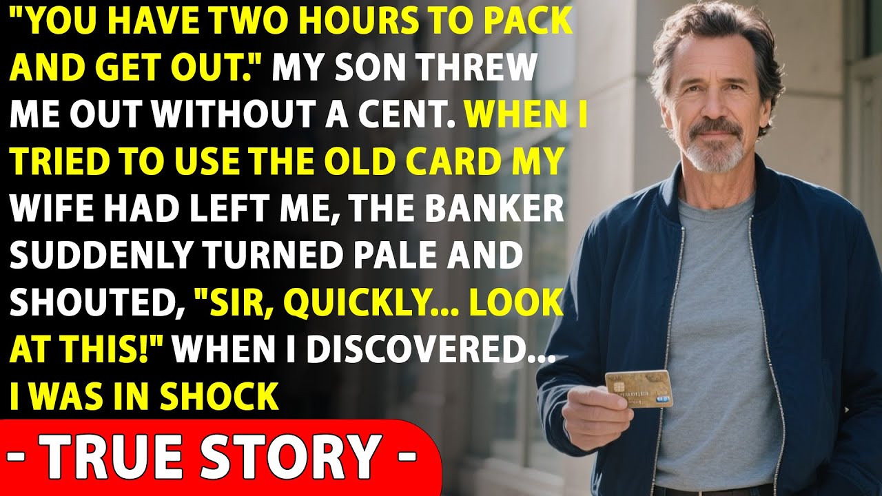 After My Son Kicked Me Out, I Used My Wife’s Old Card. The Bank Panicked — I Was Shocked When…
