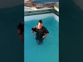 Girl got dared to jump in pool fully clothed