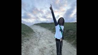 (free) nine vicious sample type beat - "out getting ribs"
