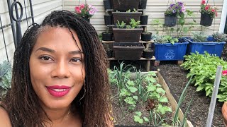 Main Garden Update Garden Tour Spring Garden 2021 / Beautee In The Garden