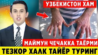 ШОШИЛИНЧ! ОГОХ БУЛИНГ ДАХШАТЛИ МАЙМУН ЧЕЧАК ТАРКАЛДИ БУНАКАСИ БУЛМАГАН..