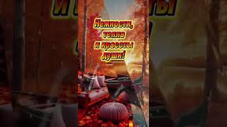 Вечер — лучшее время суток. Кончился долгий рабочий день, можно отдыхать и радоваться жизни.❤️