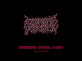 Extreme violence  breeding carnal icons promo 2024