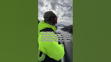 Are you a “traveler” or a “vacationer”?! 😂✈️🌎