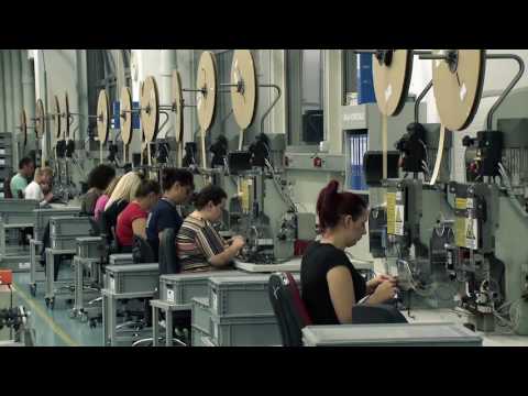 Automotive Cable Assembly