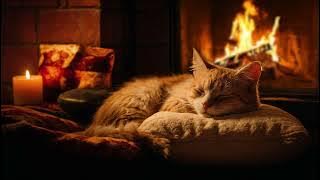 A Purring Cat and the Crackling of Wood will make you feel Calm and fall Asleep soundly
