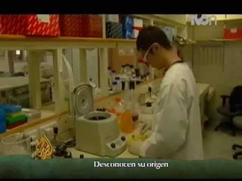 Se esparce por todo el mundo: Coronavirus Se esparce por todo el mundo: Coronavirus