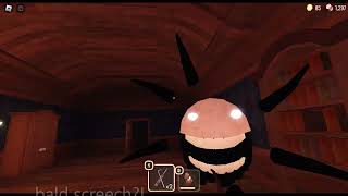 I Saw Bald Screech In A Laggy Game Of Doors