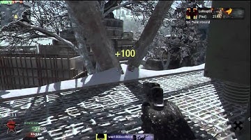 Call of Duty: Black Ops Array 20-4 TDM Sniper Dragunov Variable Scope