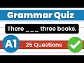 Beginner Level Grammar Quiz