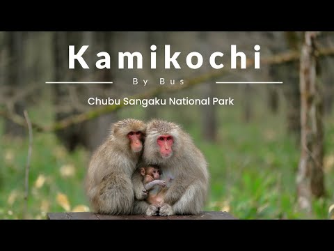 The Chubu Sangaku National Park: Kamikochi with Alpico Kotsu