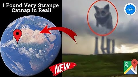😶‍🌫️🤯I Found Very Strange Catnap Real in google maps and google earth #mystisk #earth #map