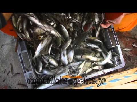 Βίντεο: Τι είναι το ψάρεμα με τράτα;