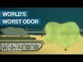 Understanding Foul-Smelling Substances and Their Uses