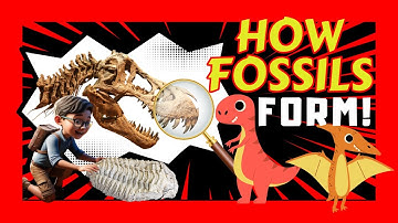 Fossil Song for Kids 🦖🦴Dinosaur Bones and Fossils | Paleontology for Young Scientist & Curious Minds