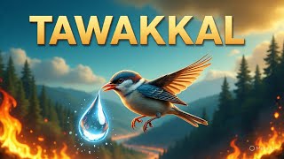 tiny sparrow big tawakaal,trust in Allah,faith in Allah,moral story#littlemumin #animation
