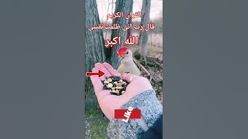 #القران_الكريم #تلاوه_خاشعه #الشيخ محمود الشحات #قال رب انی ظلمت نفسی #المصحف #foryou