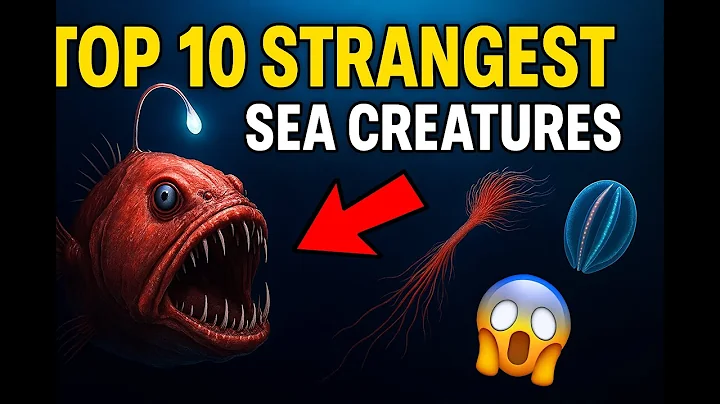 Top 10 Strangest Sea Creatures You Won’t Believe Exist 🌊🐙