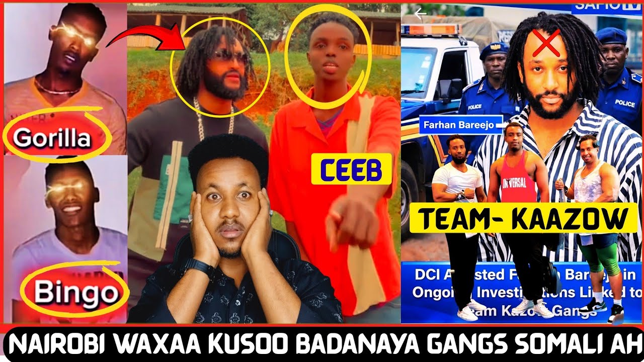 SHEEKADA TEAM KAAZOW OO 🇰🇪 KENYAANKI HADAL HAAYAN IYO QISADA MADAXDII SUPER-POWERKA GORILA IYO BINGO