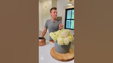 Do you love fresh hydrangeas? Here are some tips for keeping them fresher longer #shorts