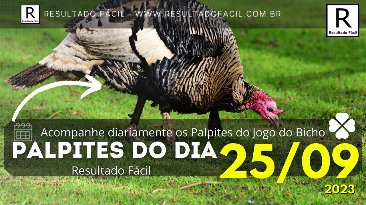 Palpite dia 22/09/2023 - JOGO DO BICHO TODAS AS LOTERIAS 