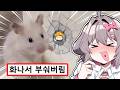 미쳐버린 시청자 바탕화면 탐방ㅋㅋㅋㅋㅋ 미쳐버린 시청자 바탕화면 탐방ㅋㅋㅋㅋㅋ