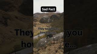 "They Taught You Love… #shorts #psychologyfacts #deepfacts