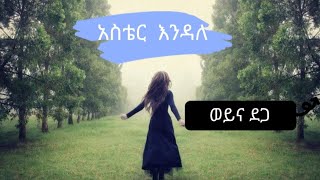 Ethiopian  aster Endala  gonder