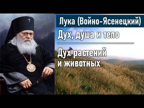 Дух растений и животных/ Глава 4 / Лука (Войно-Ясенецкий). Дух, душа и ...