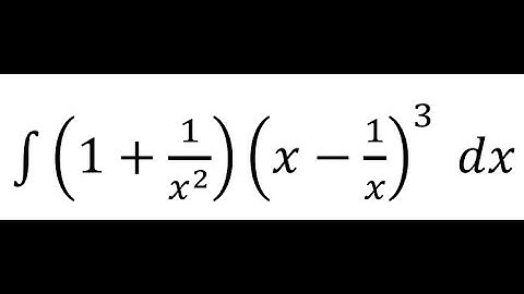 How to Integrate (1 + 1/x²)(x − 1/x)³ dx | U-Substitution Made Easy | Calculus 1