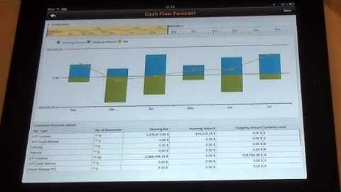 SAP Business One version for SAP HANA on iPad