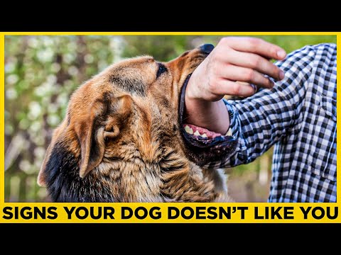 14 SIGNS YOUR